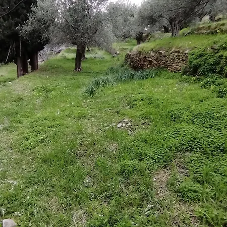 Holiday home Andros Trecking Paradise By 